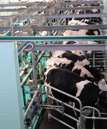 hala udojowa wykorzystanie