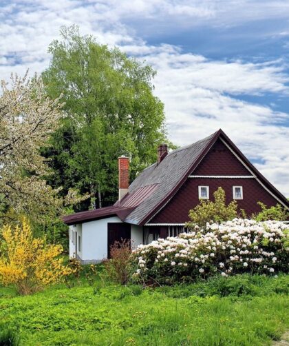 przydomowa oczyszczalnia sciekow